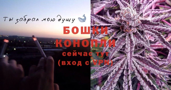 индика Волоколамск